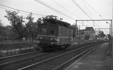 Droeshout - DIEU F0442 (4).jpg